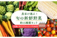 農家が選ぶ!旬の新鮮野菜セット約15種類と農家が作るドレッシング(200g×3本セット)《豊前市》【田村農産】産直 野菜 やさい 詰め合わせ ドレッシング [VBE003]
