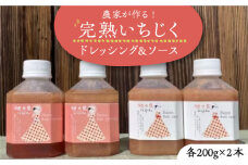 農家が作る!!完熟いちじくドレッシングと完熟いちじくソースのセット(200g×各2本)《豊前市》【田村農産】完熟 詰め合わせ ドレッシング 調味料 [VBE004]