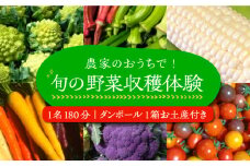 農家のおうちで旬の野菜！！収穫体験　１名１８０分 ダンボール１箱お土産付き《豊前市》【田村農産】 [VBE005]