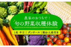 農家のおうちで旬の野菜！！収穫体験　１名 半日 ダンボール１箱お土産付き《豊前市》【田村農産】 [VBE006]