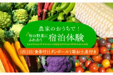 農家のおうちで宿泊体験！！旬の野菜にふれあおう１泊２日 食事付《豊前市》【田村農産】体験　宿泊　観光 [VBE007]