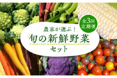 【全3回定期便】農家が選ぶ！ 旬の新鮮野菜セット《豊前市》【田村農産】産直 野菜 やさい 詰め合わせ [VBE008]