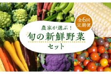 【全6回定期便】農家が選ぶ！ 旬の新鮮野菜セット《豊前市》【田村農産】産直 野菜 やさい 詰め合わせ [VBE009]