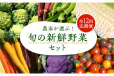 【全12回定期便】農家が選ぶ！ 旬の新鮮野菜セット《豊前市》【田村農産】産直 野菜 やさい 詰め合わせ [VBE010]
