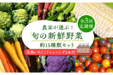 【全3回定期便】農家が選ぶ!旬の新鮮野菜セット約15種類と農家が作るドレッシング(200g×3本セット)《豊前市》【田村農産】産直 野菜 やさい 詰め合わせ ドレッシング [VBE011]