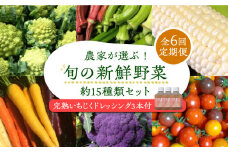【全6回定期便】農家が選ぶ!旬の新鮮野菜セット約15種類と農家が作るドレッシング(200g×3本セット)《豊前市》【田村農産】産直 野菜 やさい 詰め合わせ ドレッシング [VBE012]