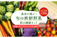 【全12回定期便】農家が選ぶ!旬の新鮮野菜セット約15種類と農家が作るドレッシング(200g×3本セット)《豊前市》【田村農産】産直 野菜 やさい 詰め合わせ ドレッシング [VBE013]