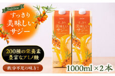 家族みんなでおいしく飲める！すっきり美味しい サジー（2本）《豊前市》【ハウスボトラーズ】 [VAX034] [VAX034]