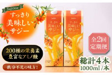 【全2回定期便】美味しいサジーが毎月届く！すっきり美味しいサジー（2本）定期便2回《豊前市》【ハウスボトラーズ】 [VAX035] [VAX035]