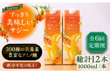【全6回定期便】美味しいサジーが毎月届く！すっきり美味しいサジー（2本）《豊前市》【ハウスボトラーズ】 [VAX039] [VAX039]