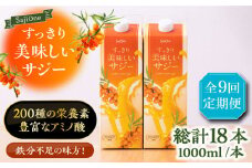 【全9回定期便】美味しいサジーが毎月届く！すっきり美味しいサジー（2本）《豊前市》【ハウスボトラーズ】 [VAX042] [VAX042]