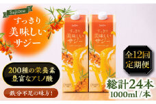 【全12回定期便】美味しいサジーが毎月届く！すっきり美味しいサジー（2本）《豊前市》【ハウスボトラーズ】 [VAX045] [VAX045]