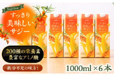 【3か月分を一回で配送】家族みんなでおいしく飲める！すっきり美味しいサジー（6本）《豊前市》【ハウスボトラーズ】 [VAX046] [VAX046]
