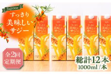 【全2回定期便】家族みんなでおいしく飲める！ すっきり美味しい サジー 6本 《豊前市》【ハウスボトラーズ】 [VAX047] [VAX047]