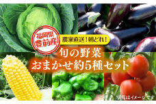 農家直送 旬のお野菜 おまかせ 約5種 セット 約2～3kg 《豊前市》【湯越農園】 野菜 詰め合わせ セット やさい [VBC011]