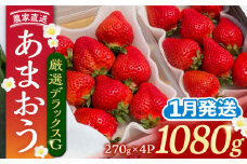 【先行予約】【1月発送】農家直送 あまおう 厳選デラックスG 1080g (270ｇ以上 × 4 パック) 土耕栽培《豊前市》【内藤農園】果物 いちご [VAB003]