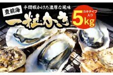 【先行予約】豊前海一粒かき 5kg【2026年1月中旬以降順次発送】  《豊前市》【豊築漁業協同組合】 牡蠣 カキ かき 牡蛎 [VAG010]
