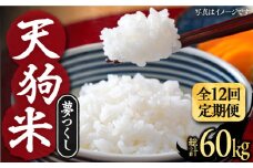 【全12回定期便】天狗米 夢つくし 5kg《豊前市》【障害者支援施設 第一周防学園】米 お米 ゆめつくし 白米 [VCX009]