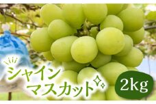 【先行予約】シャインマスカット 2kg 【2025年9月中旬以降順次発送】《豊前市》【山田農場 フルーツランド】 ぶどう マスカット 葡萄 [VCY005]