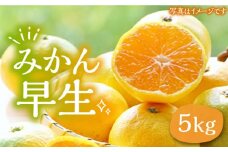 ミカン 早生 5kg《豊前市》【山田農場 フルーツランド】ミカン みかん 早生みかん [VCY008]