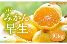 ミカン 早生 10kg《豊前市》【山田農場 フルーツランド】ミカン みかん 早生みかん [VCY009]