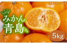 ミカン 青島 5kg《豊前市》【山田農場 フルーツランド】ミカン みかん 青島みかん [VCY011]