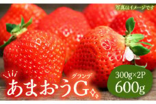 あまおう G(グランデ) 300g×2P 600g 1箱《豊前市》【山田農場 フルーツランド】 いちご イチゴ 苺 [VCY013]