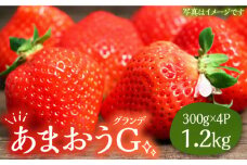 あまおう G(グランデ) 300g×4P 1.2kg 《豊前市》【山田農場 フルーツランド】 いちご イチゴ 苺 [VCY014]