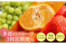 【全3回定期便】フルーツ定期便 《豊前市》【山田農場 フルーツランド】 果物 くだもの フルーツ [VCY015]