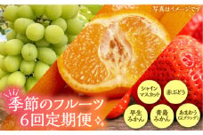 【全6回定期便】フルーツ定期便 《豊前市》【山田農場 フルーツランド】 果物 くだもの フルーツ [VCY016]