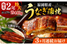 【全3回定期便】福岡県産 うなぎ 蒲焼 特大 2尾 合計 440 g（1尾あたり 220g以上）《豊前市》【福岡養鰻】 国産 うなぎ 特大 [VAD008]