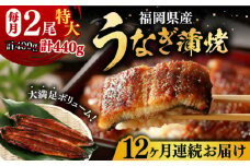 【全12回定期便】福岡県産 うなぎ 蒲焼 特大 2尾 合計 440 g（1尾あたり 220g以上）《豊前市》【福岡養鰻】 国産 うなぎ 特大 [VAD010]