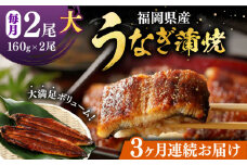 【全3回定期便】福岡県産 うなぎ 蒲焼 大2尾　合計 320 g（1尾あたり 160g以上）《豊前市》【福岡養鰻】 国産 うなぎ 大 [VAD011]