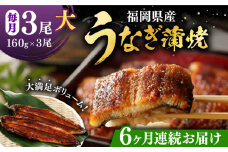 【全6回定期便】福岡県産 うなぎ 蒲焼 大3尾 合計 480 g（1尾あたり 160g以上）《豊前市》【福岡養鰻】 国産 うなぎ 大 [VAD015]