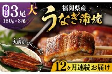 【全12回定期便】福岡県産 うなぎ 蒲焼 大3尾 合計 480 g（1尾あたり 160g以上）《豊前市》【福岡養鰻】 国産 うなぎ 大 [VAD016]