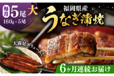 【全6回定期便】福岡県産 うなぎ 蒲焼 大5尾　合計 800 g（1尾あたり 160g以上）《豊前市》【福岡養鰻】 国産 うなぎ 大 [VAD018]