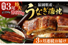 【全3回定期便】福岡県産 うなぎ 蒲焼 特大 3尾 合計 660 g（1尾あたり 220g以上）《豊前市》【福岡養鰻】 国産 うなぎ 特大 [VAD020]