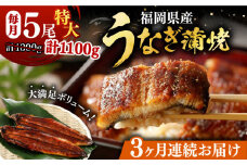 【全3回定期便】福岡県産 うなぎ 蒲焼 特大 5尾 合計 1,100 g（1尾あたり 220g以上）《豊前市》【福岡養鰻】 国産 うなぎ 特大 [VAD023]