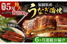 【全6回定期便】福岡県産 うなぎ 蒲焼 特大 5尾 合計 1,100 g（1尾あたり 220g以上）《豊前市》【福岡養鰻】 国産 うなぎ 特大 [VAD024]