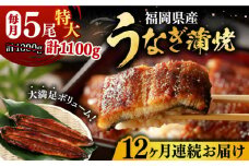 【全12回定期便】福岡県産 うなぎ 蒲焼 特大 5尾 合計 1,100 g（1尾あたり 220g以上）《豊前市》【福岡養鰻】 国産 うなぎ 特大 [VAD025]