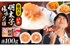 数の子明太子&いか明太子セット（各100g）【博多徳永とくとく珍味】《豊前市》【株式会社マル五】 [VCL011]