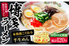 【全6回定期便】博多ラーメン 20食セット（福岡名物豚骨ラーメン）本格派こだわり 半生めん《豊前市》【株式会社マル五】 [VCL037]