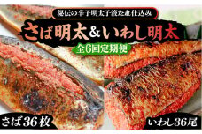 【全6回定期便】さば明太6枚・いわし明太6尾セット《豊前市》【株式会社マル五】 [VCL082]
