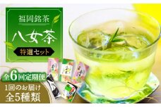 【全6回定期便】福岡銘茶八女茶 特選セット5種 合計550g 老舗製茶店の逸品《豊前市》【株式会社マル五】 [VCL124]