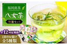 【全12回定期便】福岡銘茶八女茶 特選セット5種 合計550g 老舗製茶店の逸品《豊前市》【株式会社マル五】 [VCL125]