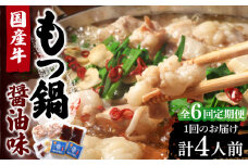 【全6回定期便】国産牛 もつ鍋 醤油味2人前×2セット（計4人前）〆はマルゴめん 福岡県産の米粉麺付き《豊前市》【株式会社マル五】 [VCL133]