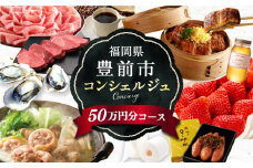 【あなただけの特別プラン】豊前市 コンシェルジュ 寄附額 50万円 コース 《豊前市》 おすすめ おまかせ 定期便 [VZZ001]