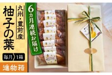 【全6回定期便】【進物箱】柚子の葉 8枚入り《豊前市》【武蔵屋】お中元 ギフト 贈り物 和菓子 [VBU018]