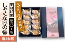 【全3回定期便】【進物箱】しゃくなげの香 10個入り《豊前市》【武蔵屋】お中元 ギフト 贈り物 和菓子 [VBU020]