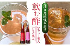 【全3回定期便】＜いちじく美人・いちご美人＞ 飲む酢 2本 セット《豊前市》【株式会社ワカヤマ】地産 福岡 万能 調味料 酢 [VBW020]
